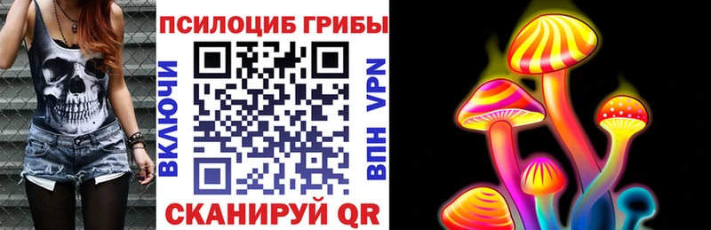Галлюциногенные грибы Psilocybe  Удачный 